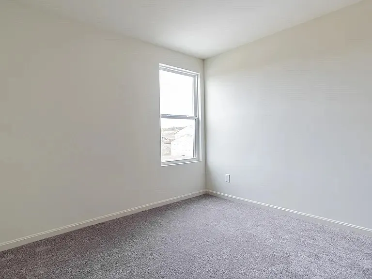 4003 White Pine Ln — Photo 11