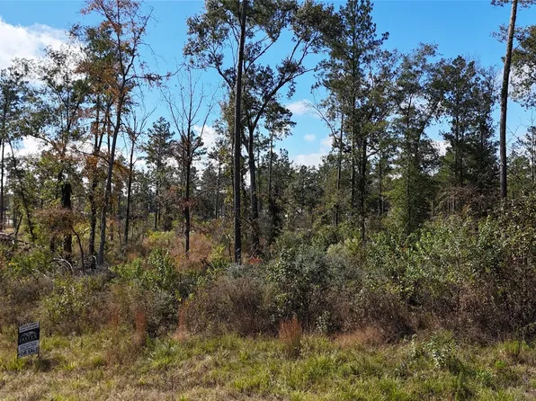 7 Reveille Rd, Livingston, TX 77351