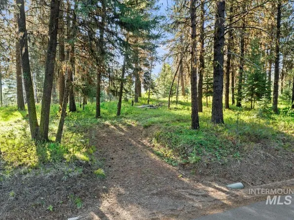 320 Blackhawk Lake Dr, McCall, ID 83638