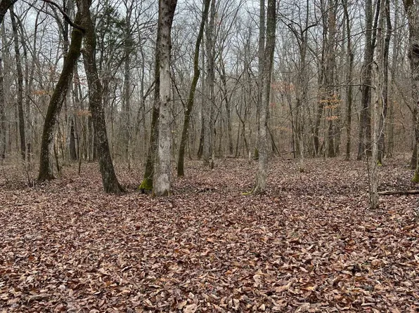 Point Mason Rd Parcel 20&21, Big Sandy, TN 38221