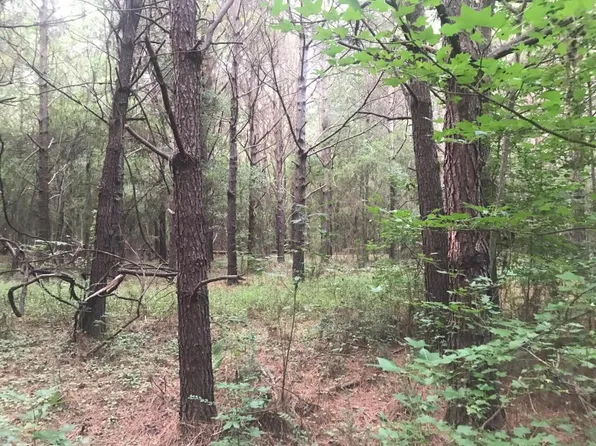 0 Highway 17, Millport, AL 35576