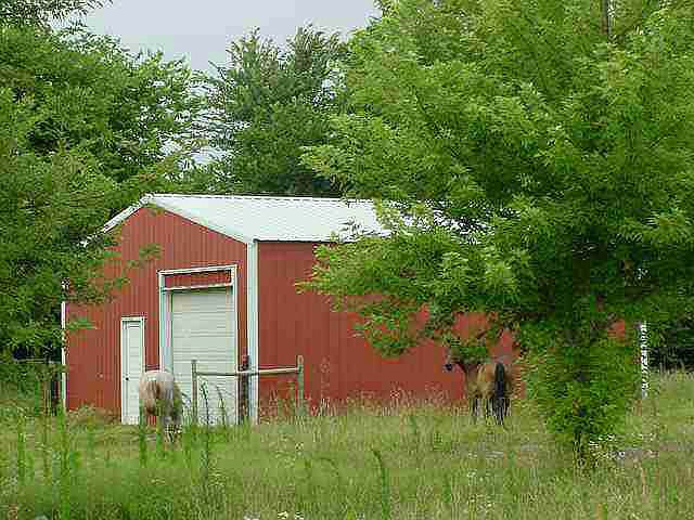 2nd image of 10349 Lori Ln