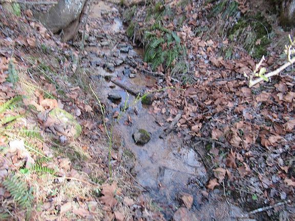 2nd image of 0 Country Walk