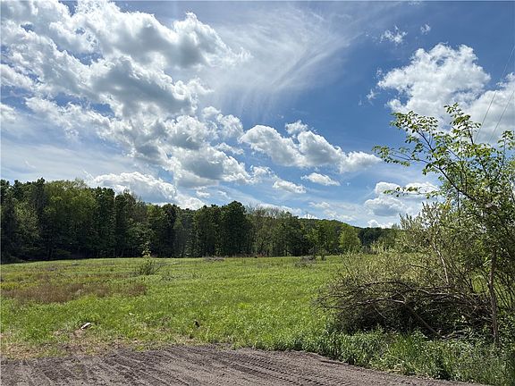 4th image of County Road 46 Lower Ravine Rd #10