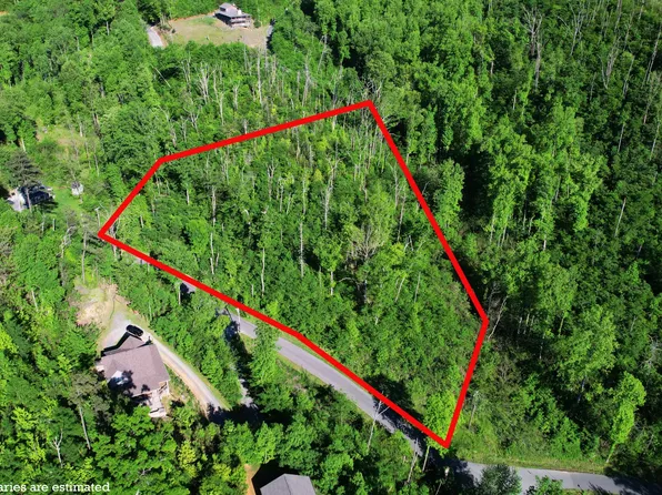 0 Beech Branch Rd, Gatlinburg, TN 37738