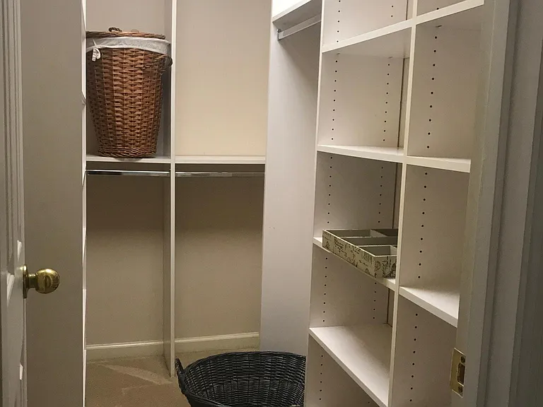Master closet built-ins