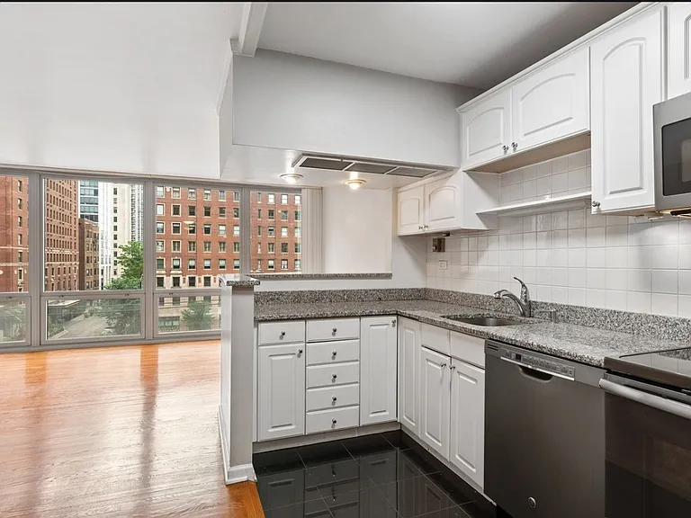 21 W Goethe St #5F — Photo 10