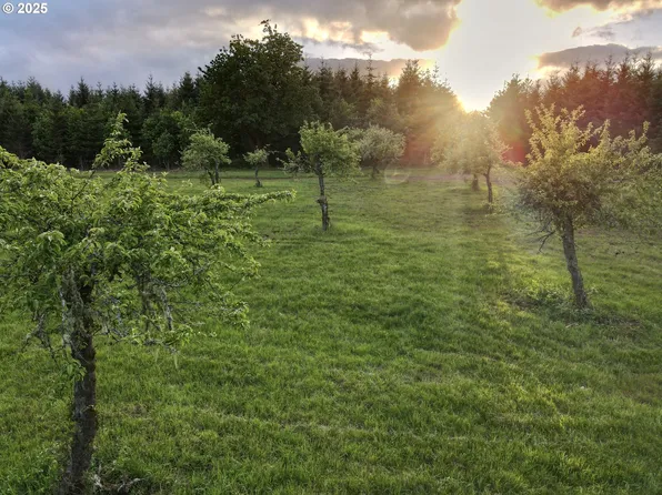 11892 SW Dupee Valley Rd, McMinnville, OR 97128