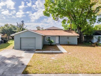 13811 Pathfinder Dr, Tampa, FL, 33625