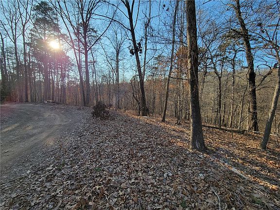 2nd image of Winters Lane