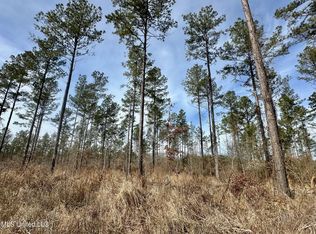 4 Dry Grove Rd, Terry, MS 39170
