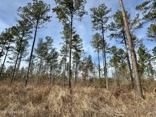 4 Dry Grove Rd, Terry, MS 39170