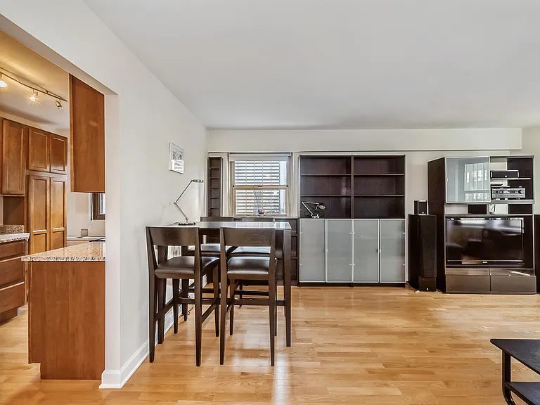 535 N Michigan Ave #1508 — Photo 9
