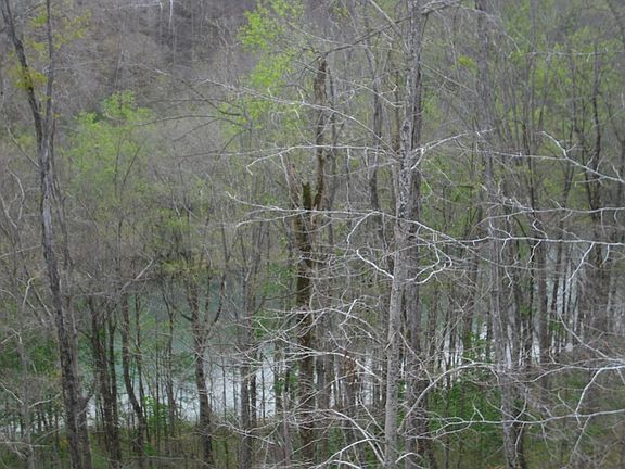 2nd image of 2520 Riverton Rd