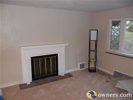 Living room - fireplace