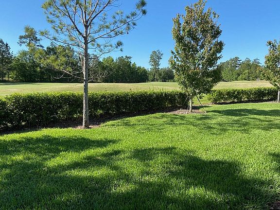 Back Yard on 10th hole