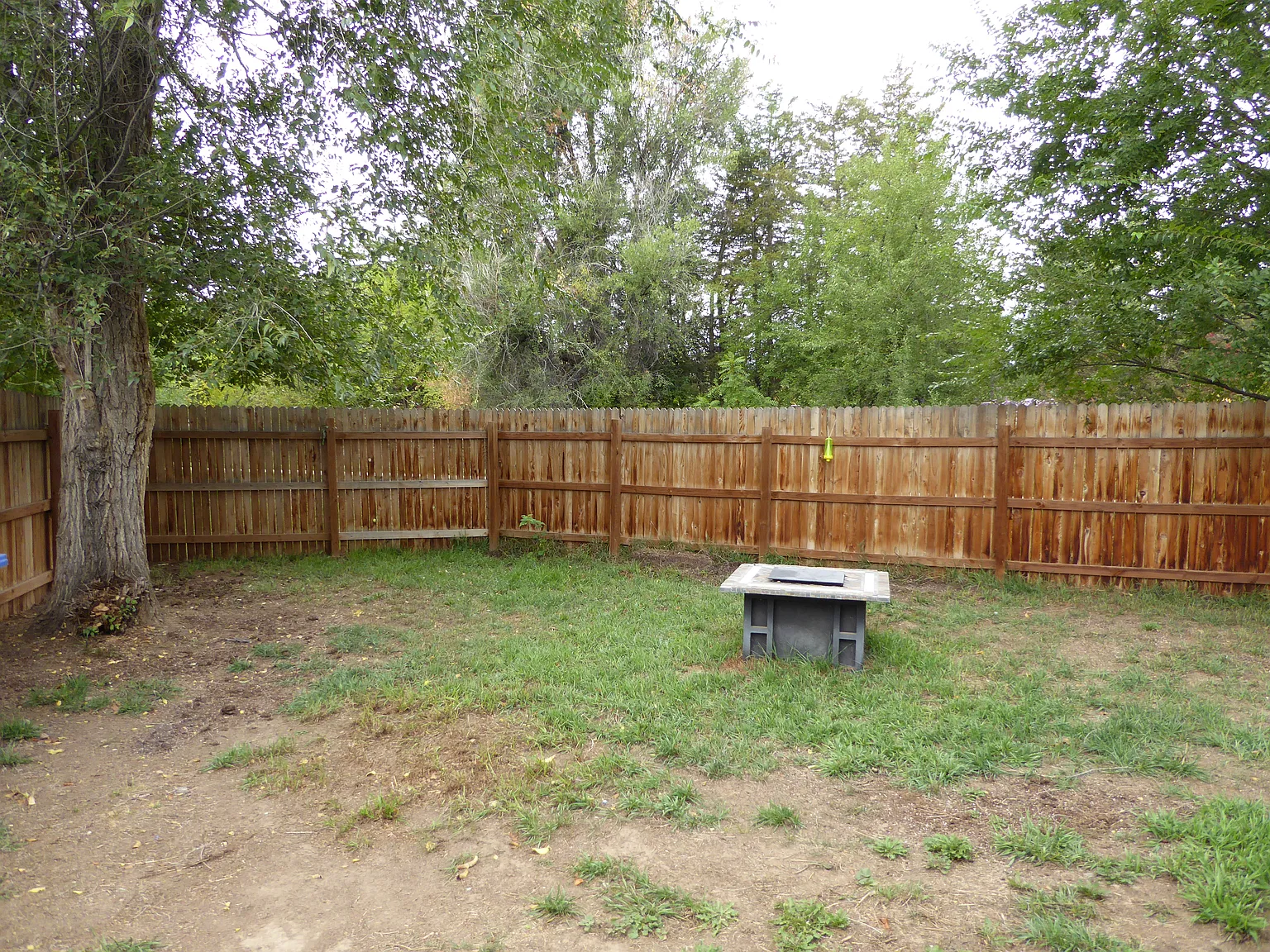 1 bed, 612 sqft, $1,295 — Photo 4