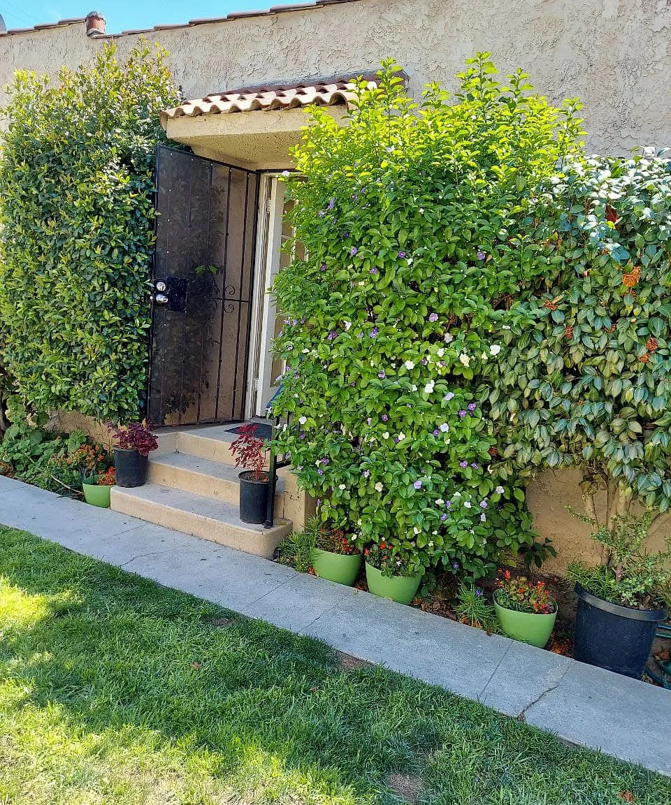 1 bed, 550 sqft, $1,950 — Photo 2