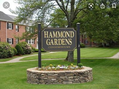 11 Hammond Pond Pkwy APT 3, Newton, MA, 02467
