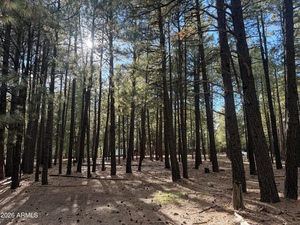 2661 VACATION Drive #549, Forest Lakes, AZ 85931