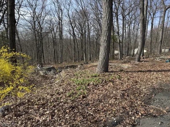 48 Alexandria Ave, Hopatcong Boro, NJ 07821