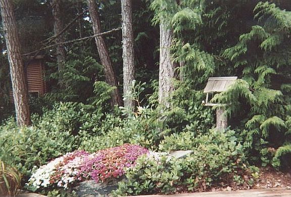 old dingy planter in summer