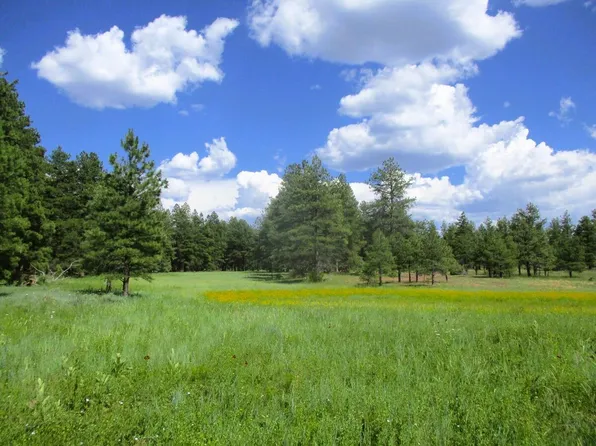 Forest Rd #157, Ramah, NM 87321