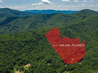 99999 Mundy Cove Rd, Weaverville, NC 28787