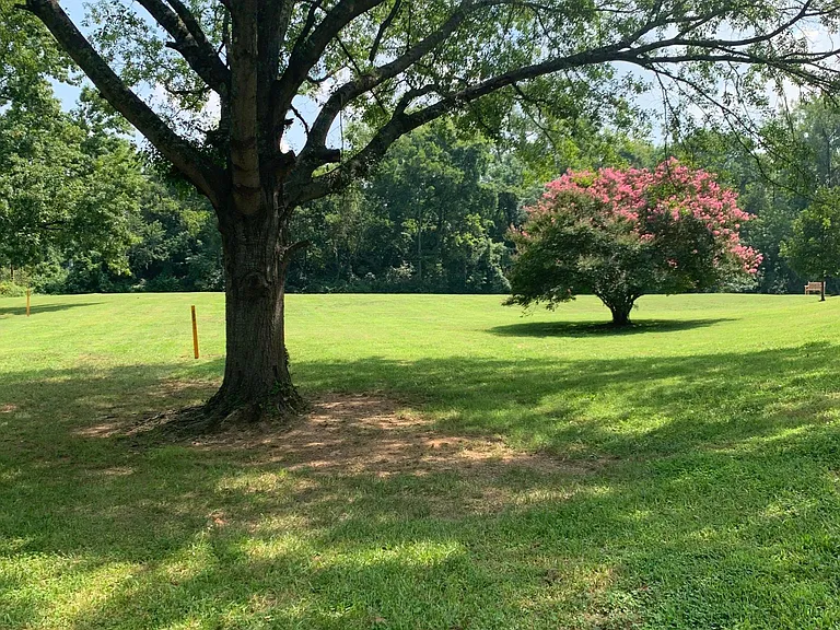 Lawn for days...that you don't mow! A game of football anyone?...Go long