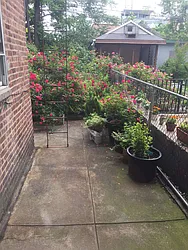 Rented by Addison Property Group