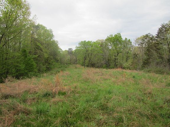 2nd image of 8725 Warner Rd Lot Wp001