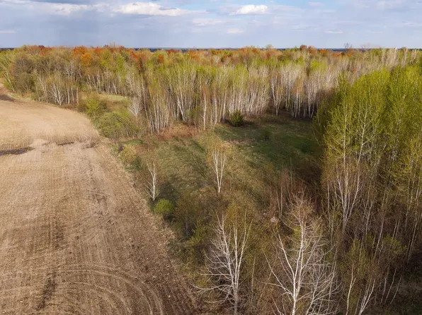 38AC 465th St, Harris, MN 55032