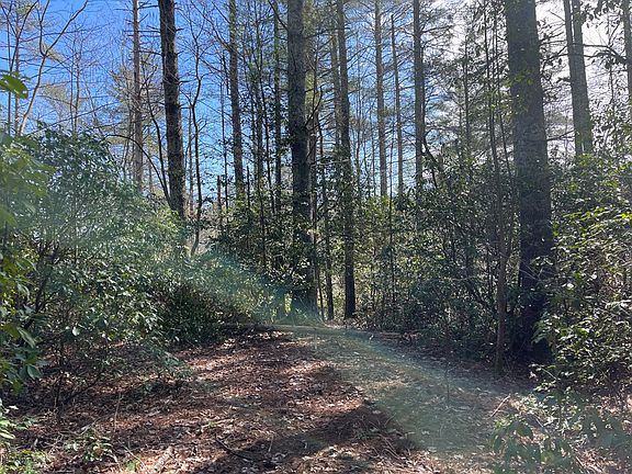5th image of 79 Forest Edge Dr