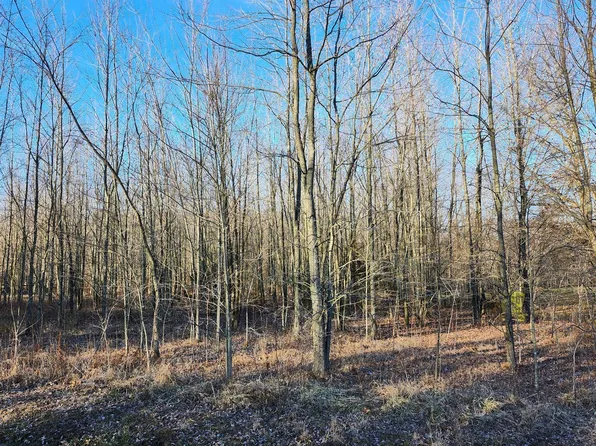 0 Pennington Ln, Williamsburg, OH 45176