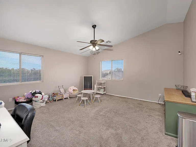 42921 W Camino De Janos — Photo 16