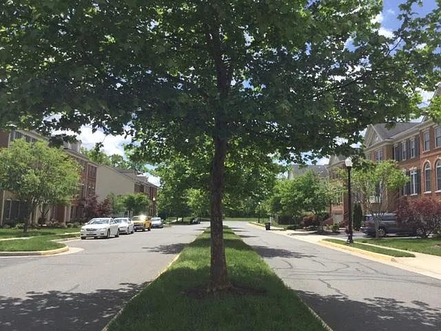 front road and additional parking