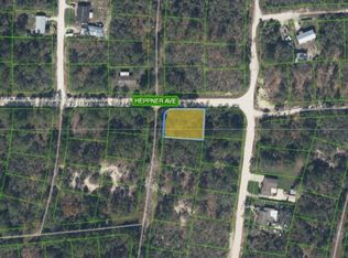 341 Dreamers Dr, Lake Placid, FL 33852