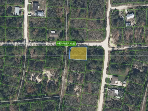 341 Dreamers Dr, Lake Placid, FL 33852