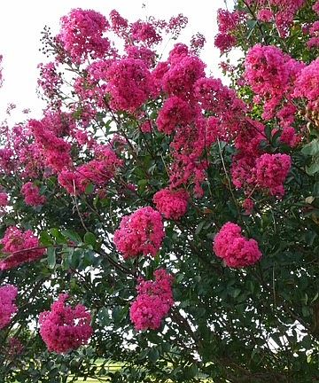 27th image of this home