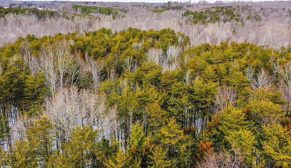 1st image of 15 Farmville Rd