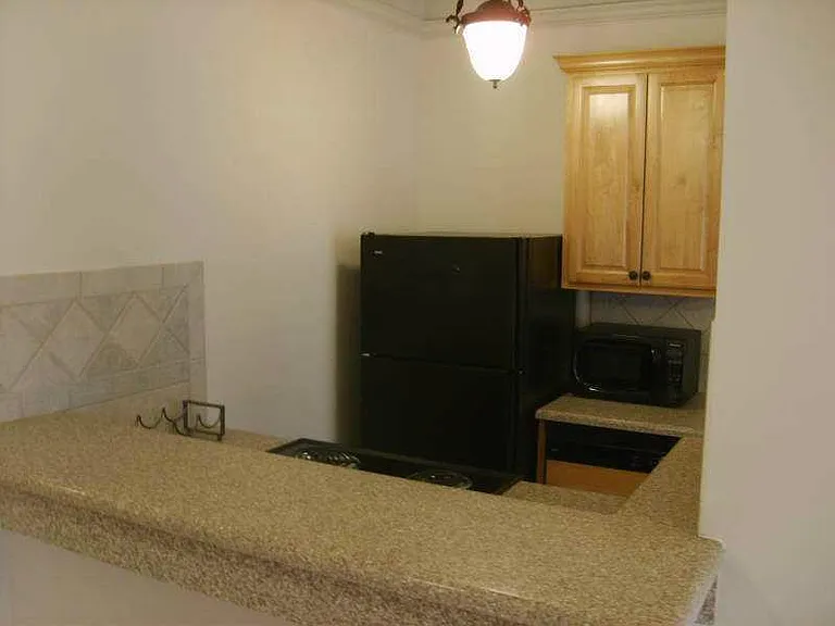 120 Ralph McGill Blvd NE #1511 — Photo 5