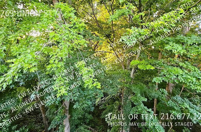 38263 Union St — Photo 24