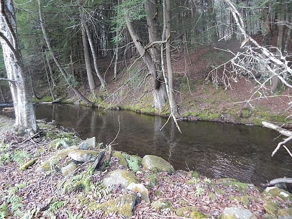 3rd image of 3907 County Highway 16