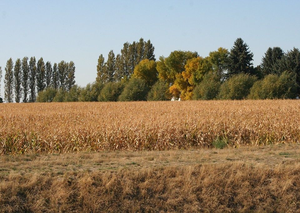 1st image of 14403 Road 2 NE
