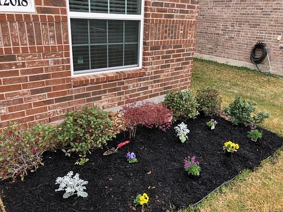 Recent landscaping.