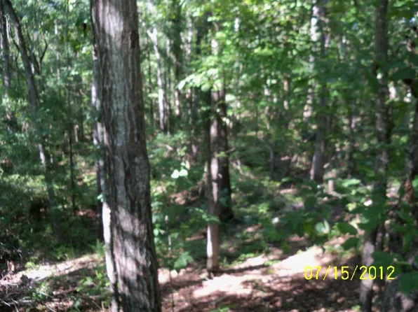 0 Burginville Rd, Buena Vista, GA 31803
