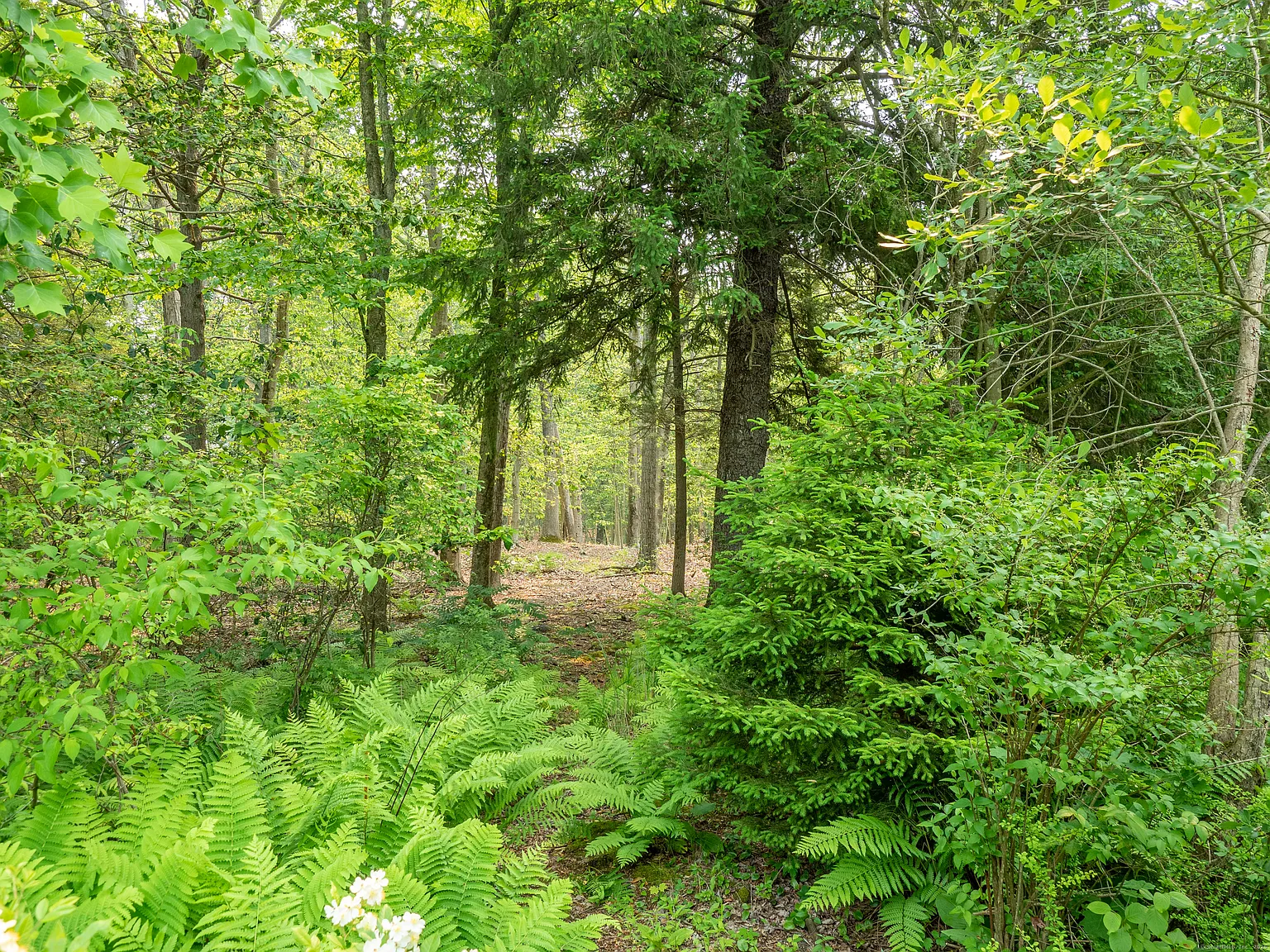 South Salem Road photo 1