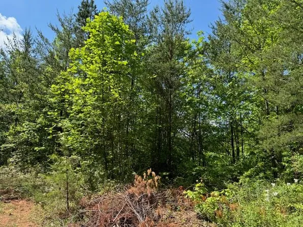 11 Paradise, Marble, NC 28905