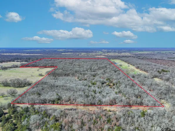 0 NE County Road 2160, Mount Vernon, TX 75457