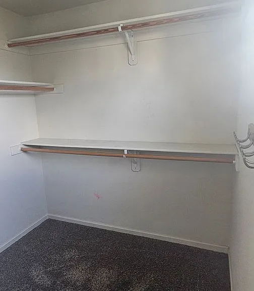 14259 Oakland Ct — Photo 24